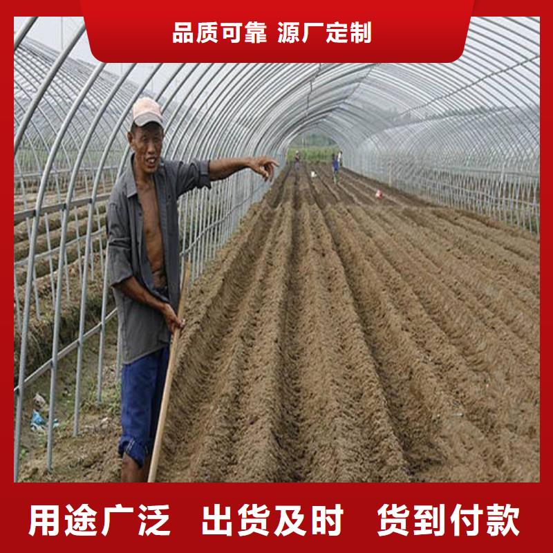 花卉大棚管安装