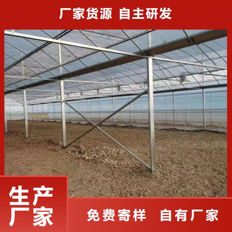 连体大棚性价比高