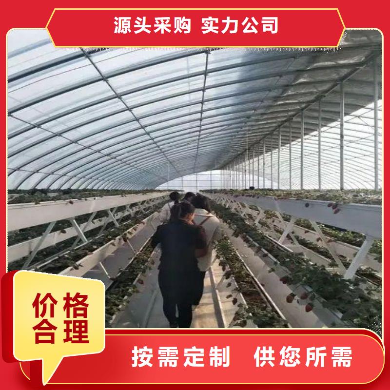 大棚管2镀锌大棚管技术先进