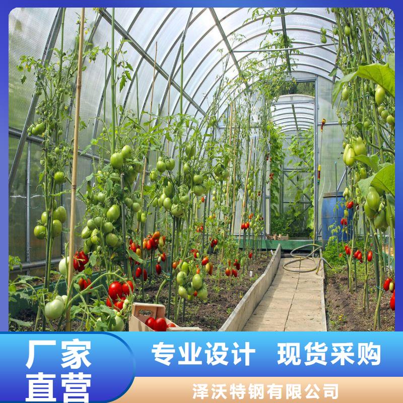 连体大棚性价比高