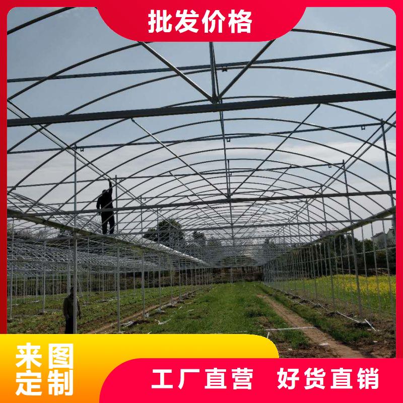 芦苞镇温室连栋大棚骨架购买