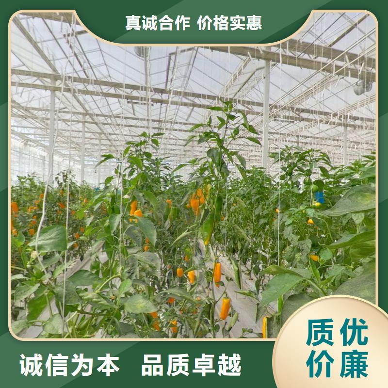 连体大棚性价比高