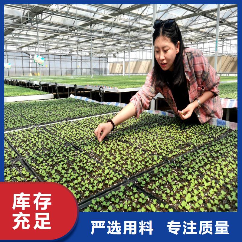 大棚管2镀锌大棚管技术先进