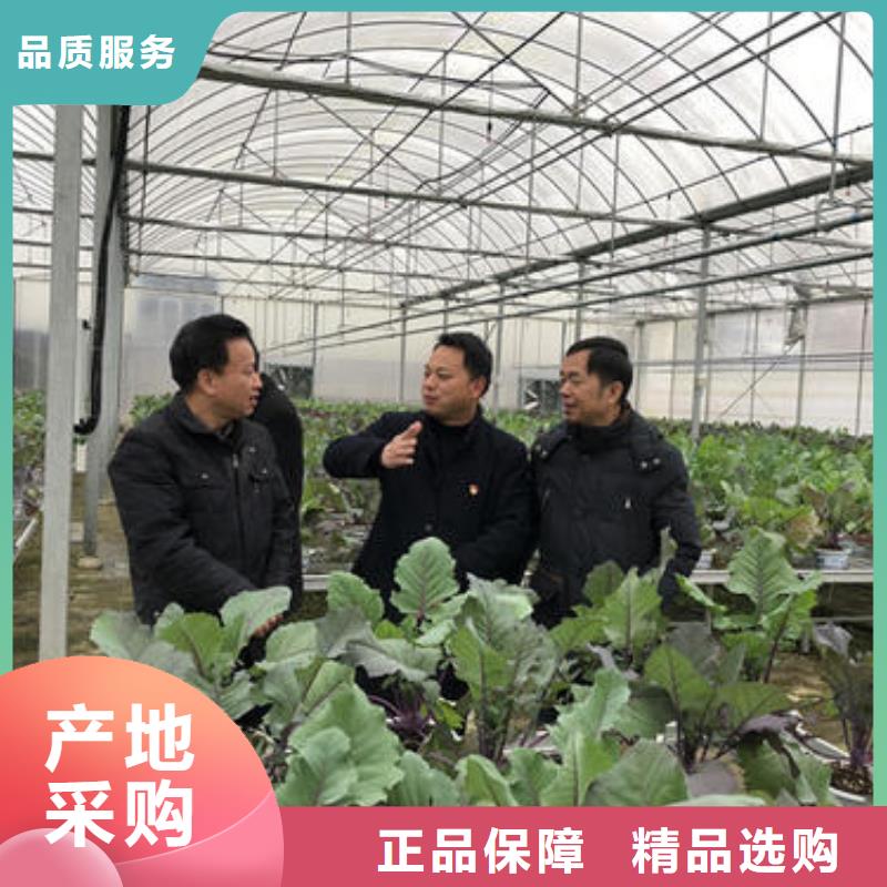 【大棚管,镀锌大棚管专业生产设备】