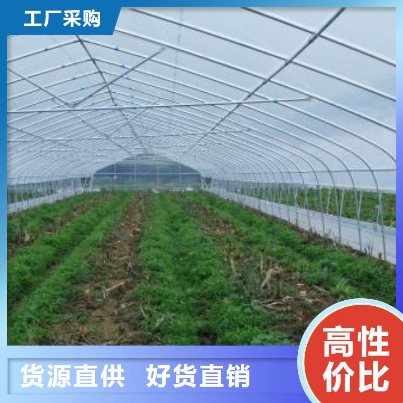 大棚管_温室大棚管出货及时
