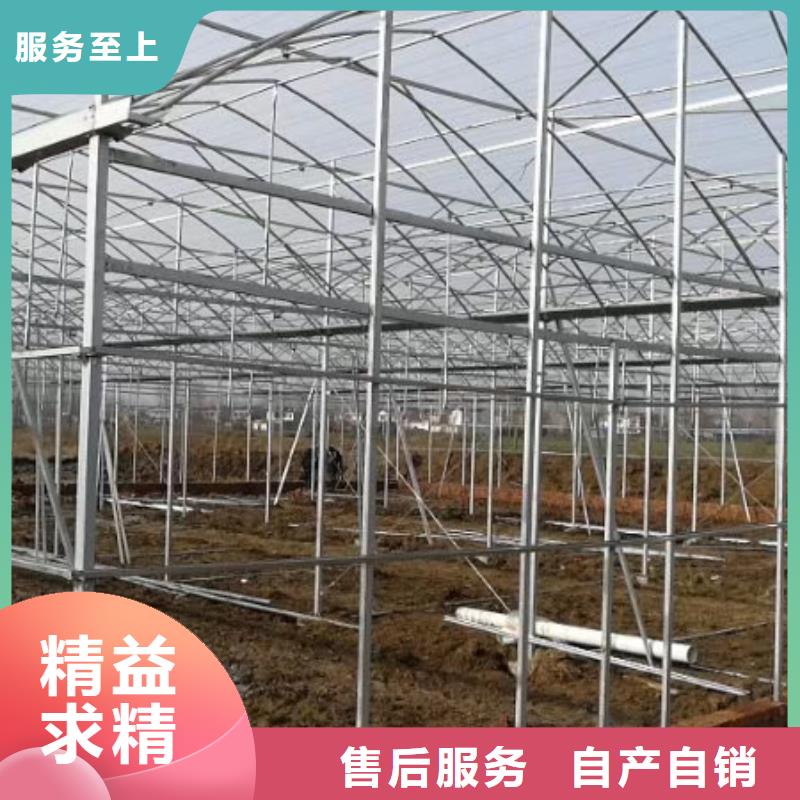 海陵区西瓜蔬菜大棚价格合理质量好有保证