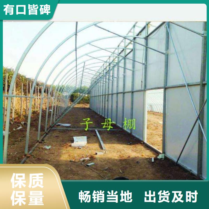 延寿大棚卡簧来电咨询