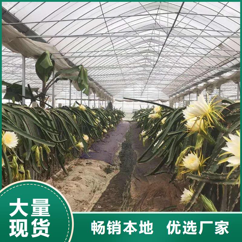 大棚管折弯欢迎订购