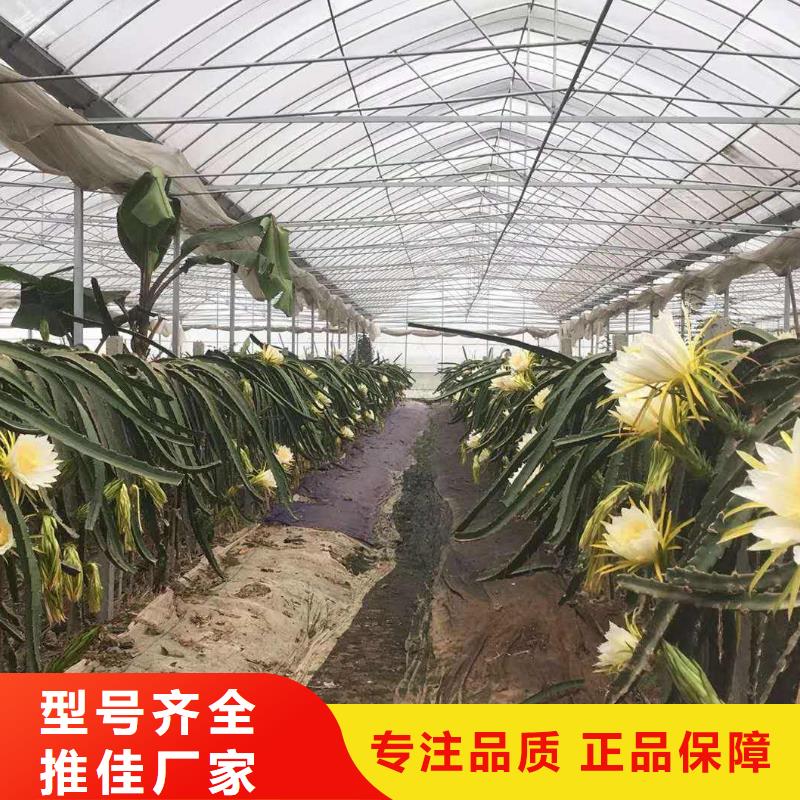 大棚管-温室骨架大棚管价格有优势