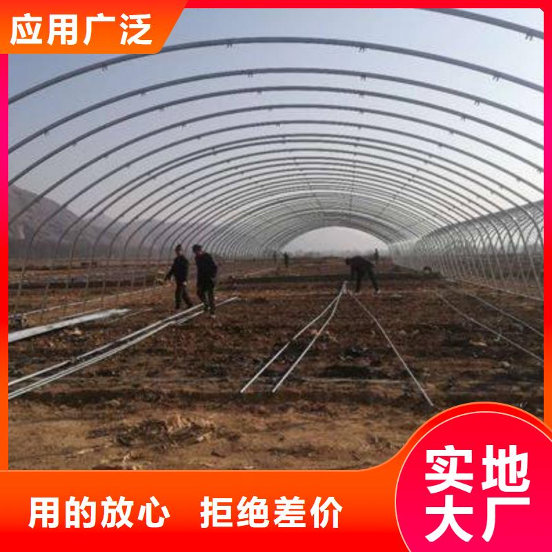 大棚管【镀锌大棚管】工厂直销