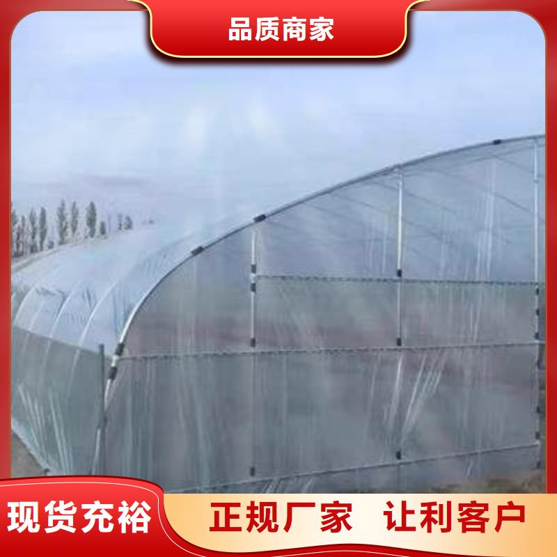 大棚管_温室大棚管出货及时