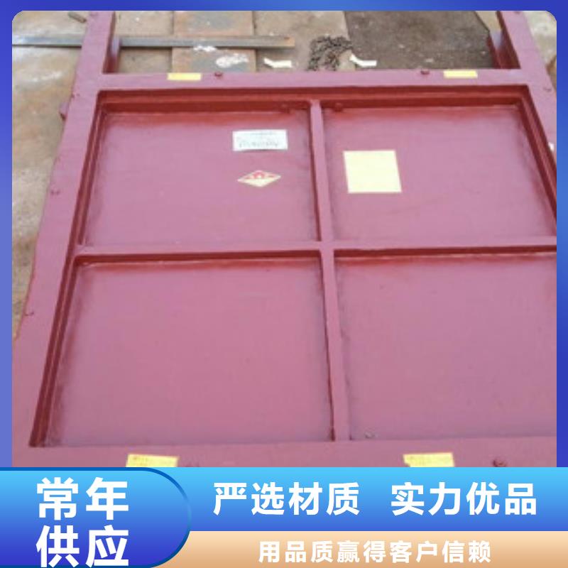 铸铁闸门-电装螺杆启闭机品质过硬