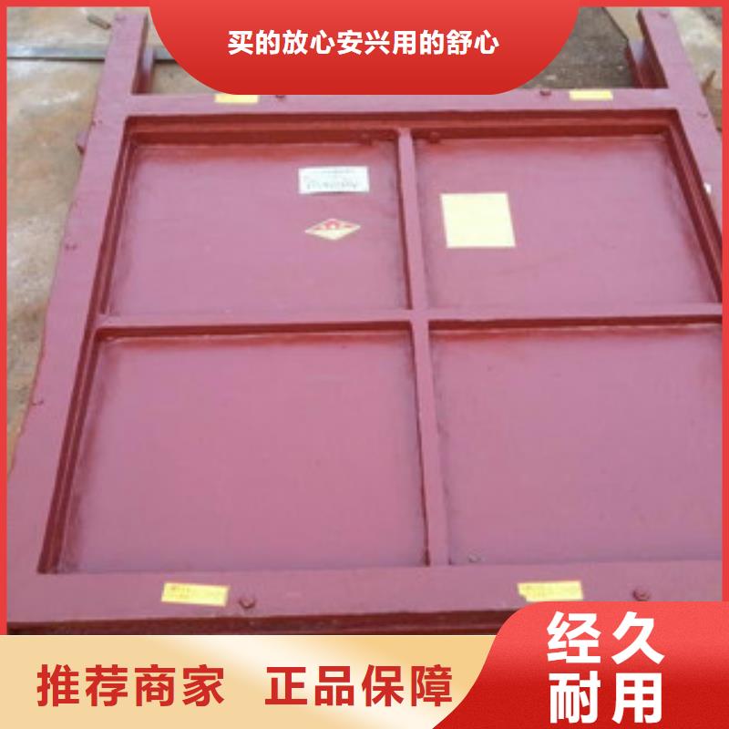 铸铁闸门翻板闸门品牌企业