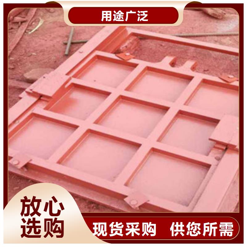 铸铁闸门翻板闸门品牌企业