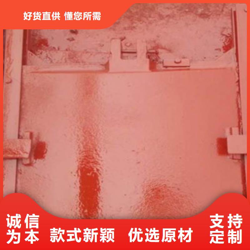 铸铁闸门_拍门款式新颖