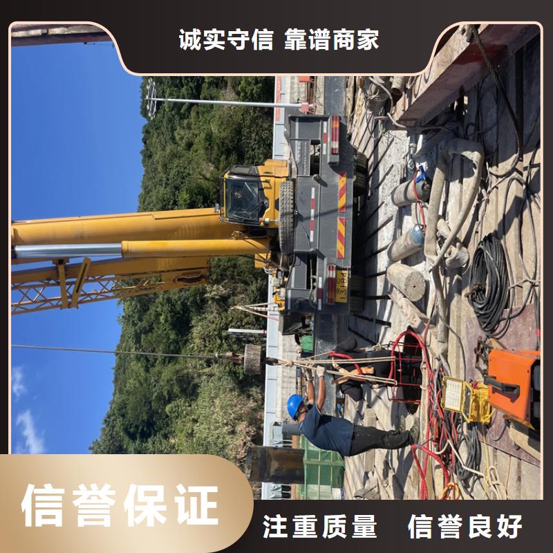 电厂闸门水下维修检查公司-全国施工队伍