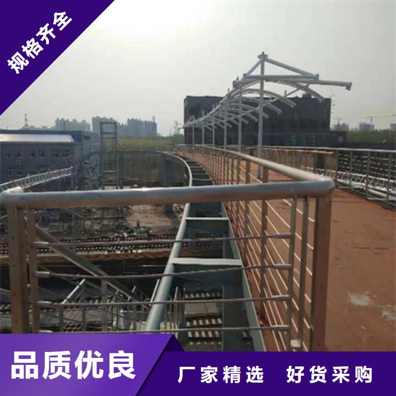 2025价格优惠#不锈钢丝绳护栏#本地厂家