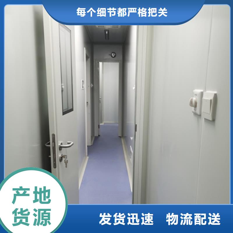 厂家直销 射线防护子母门厂家