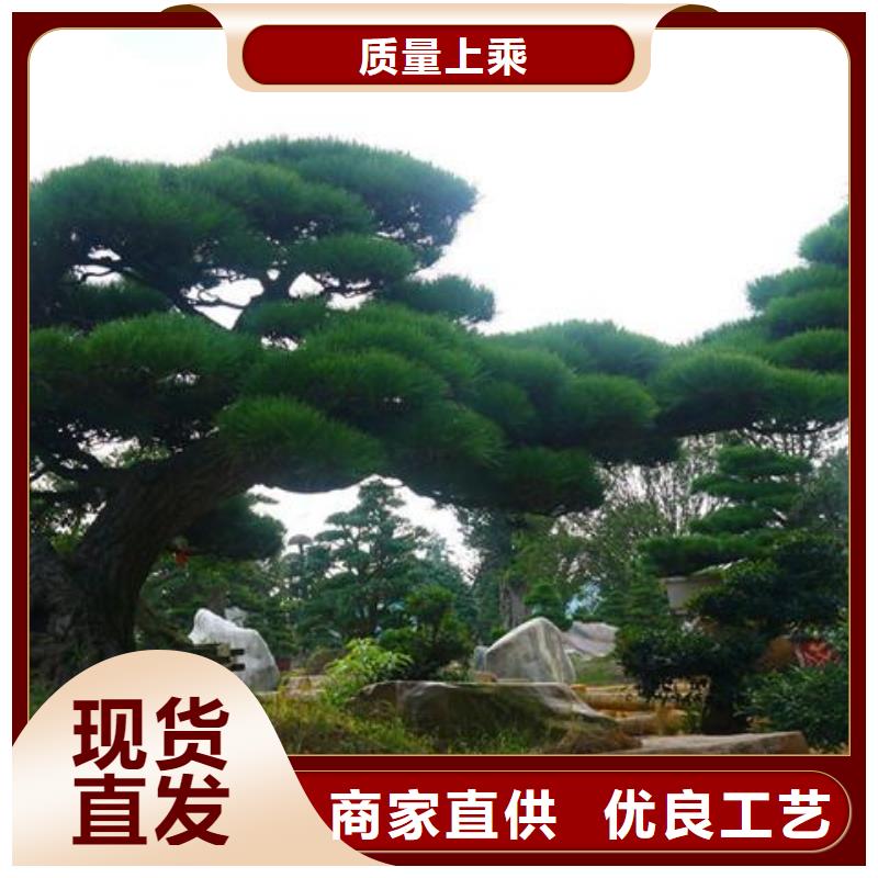 定安县泰山迎客松工作原理