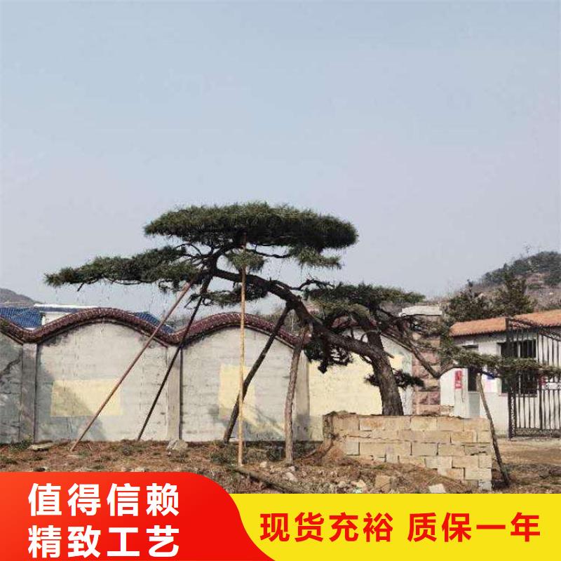 定安县泰山迎客松工作原理