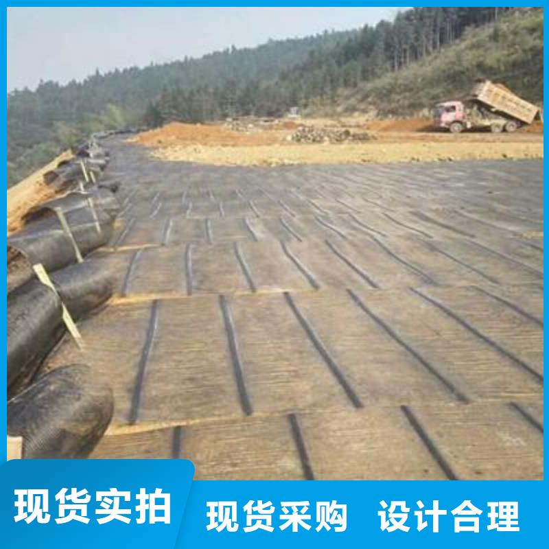 山东单向拉伸塑料土工格栅直销