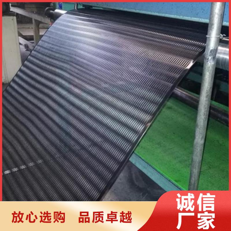 山东单向拉伸塑料土工格栅直销