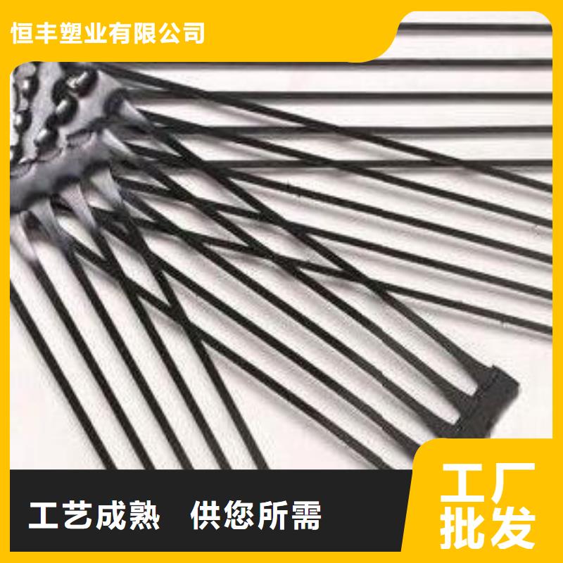 山东单向拉伸塑料土工格栅直销