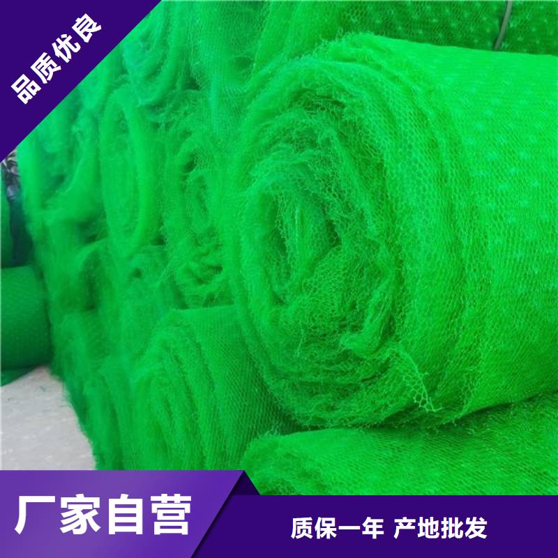 三维植被网加筋布工厂现货供应