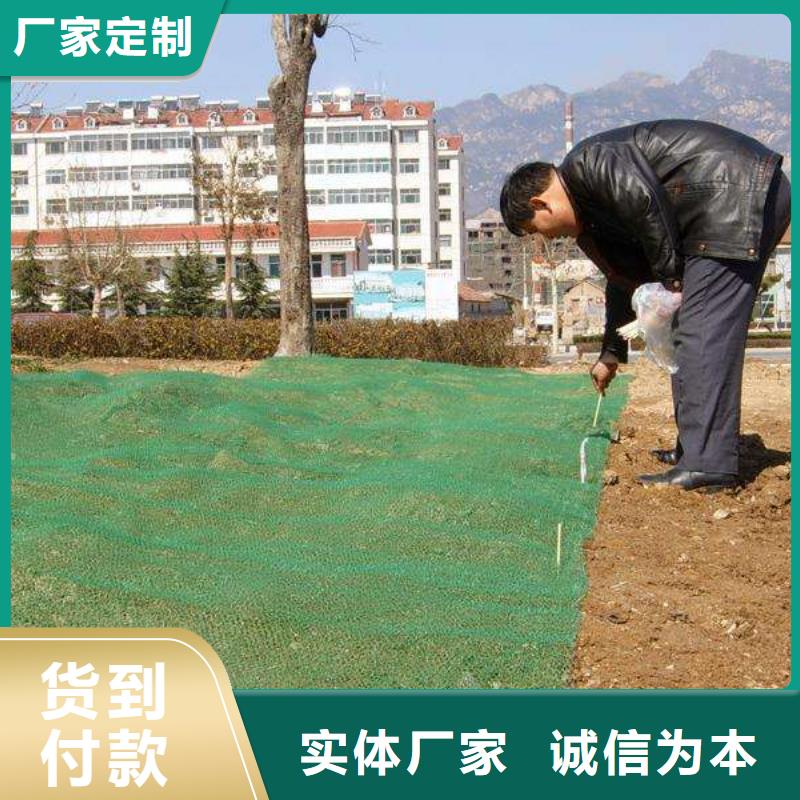 三维植被网加筋布工厂现货供应