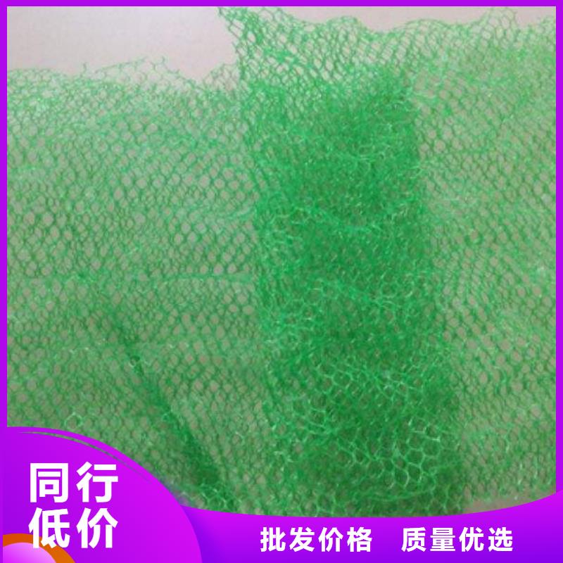 三维植被网加筋布工厂现货供应