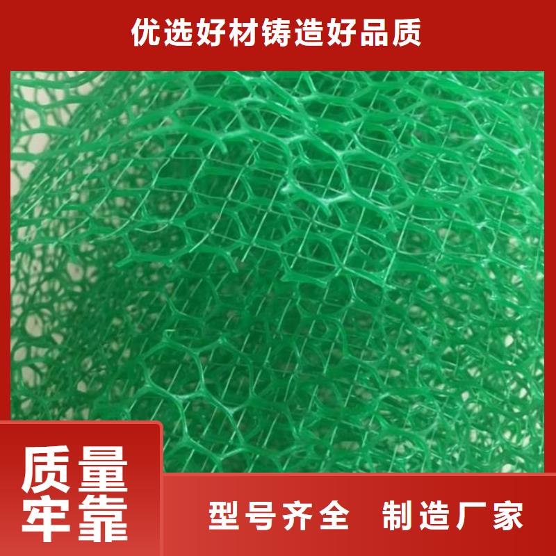 三维植被网加筋布工厂现货供应