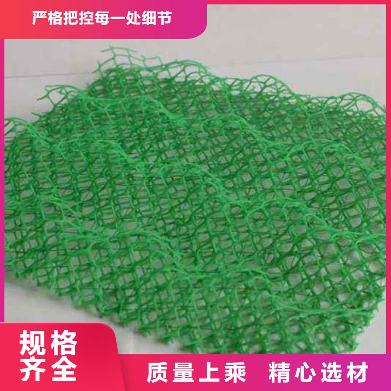 三维植被网加筋布工厂现货供应