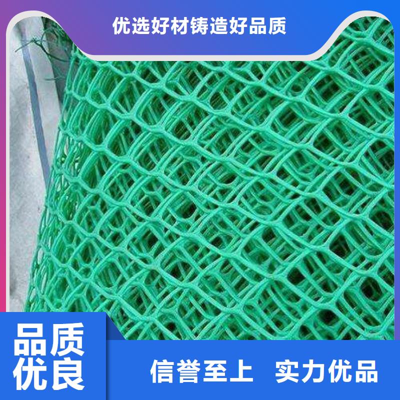 三维植被网加筋布工厂现货供应