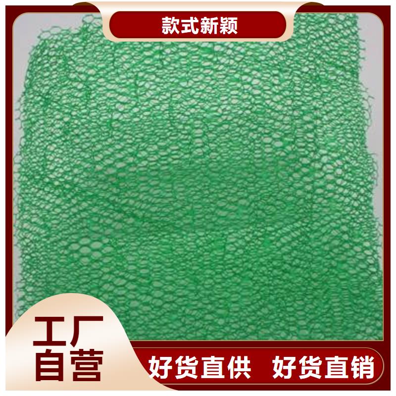 三维植被网加筋布工厂现货供应