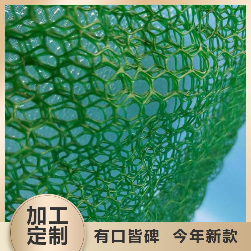 三维植被网加筋布工厂现货供应