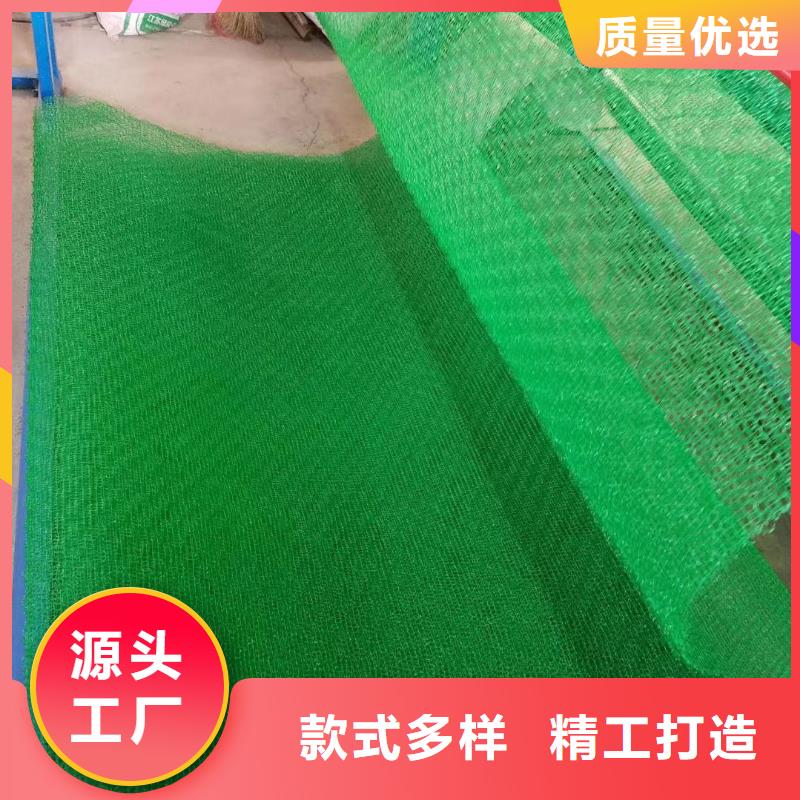 三维植被网加筋布工厂现货供应