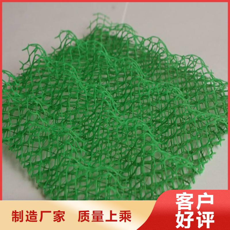 三维植被网加筋布工厂现货供应
