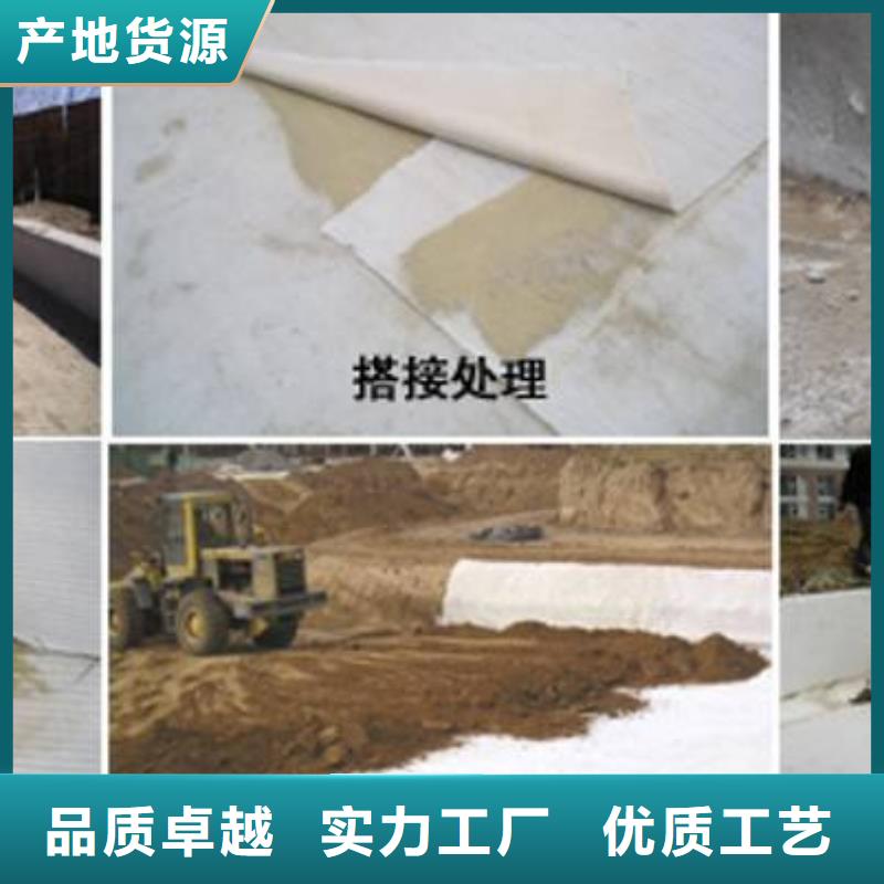 膨润土防水毯_质量好_提供膨润土防水毯_报价