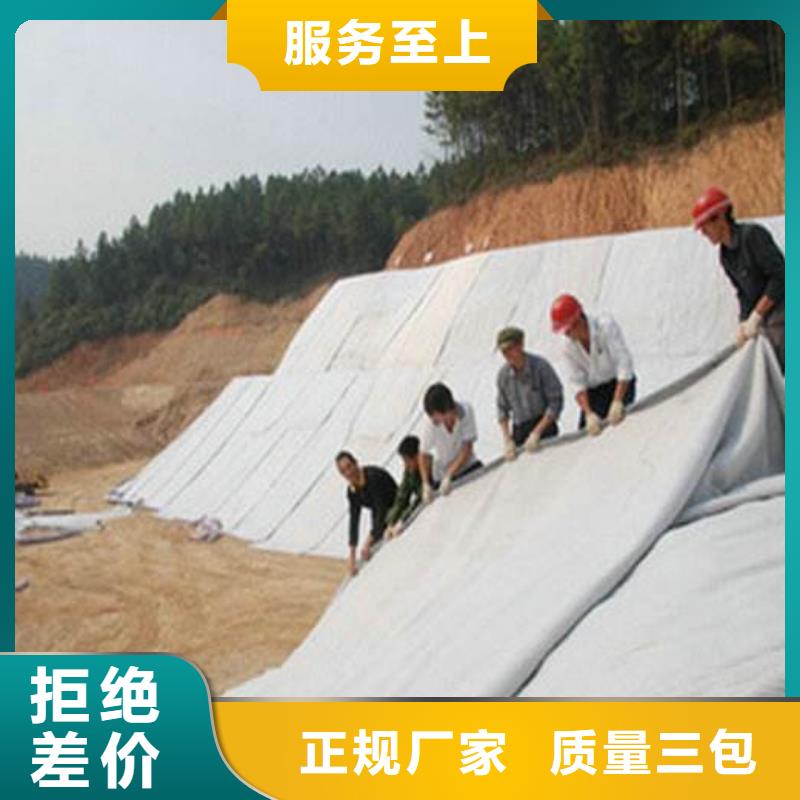 膨润土防水毯_质量好_提供膨润土防水毯_报价