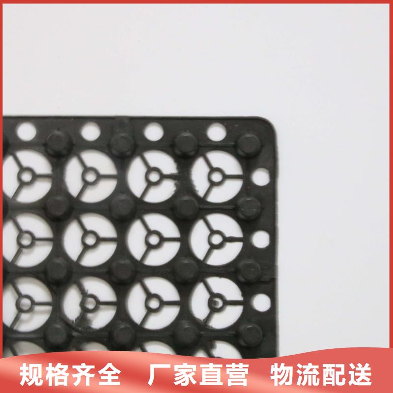 排水板【PP焊接土工格栅】海量货源