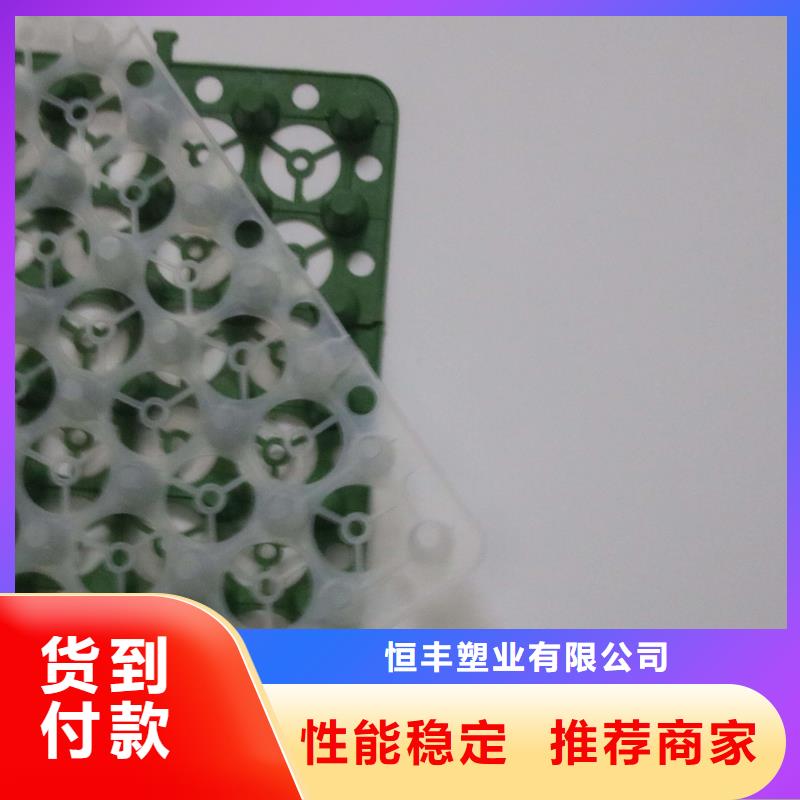 排水板【PP焊接土工格栅】海量货源