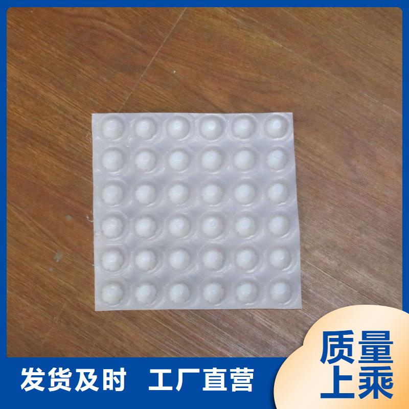 排水板【PP焊接土工格栅】海量货源