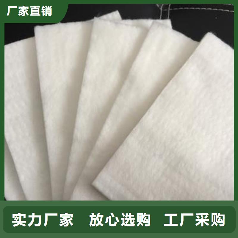 绿色土工布生产厂家哪家好