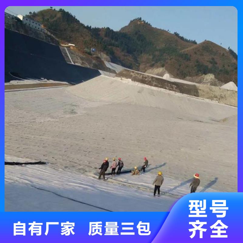 复合防水毯实力厂家/现货供应
