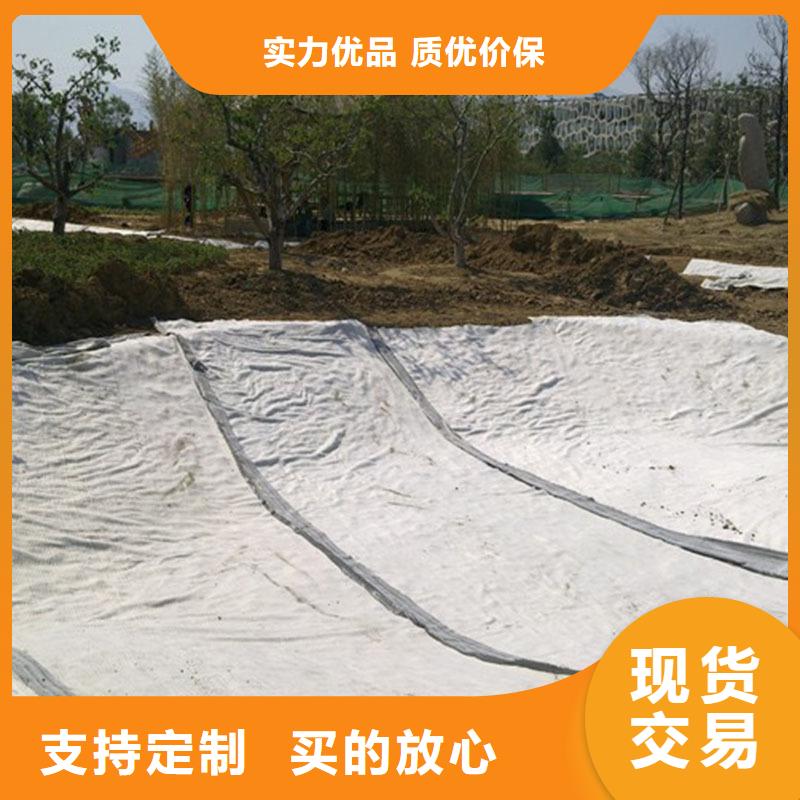 复合防水毯实力厂家/现货供应
