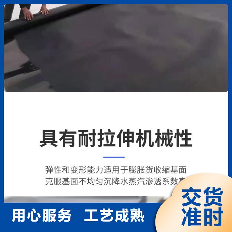防渗土工膜实力厂家