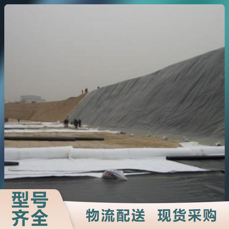 防渗土工膜实力厂家