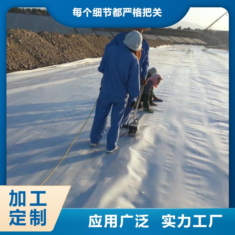 防渗土工膜实力厂家