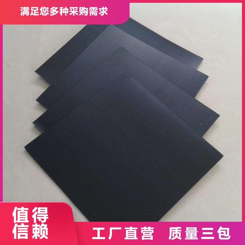 防渗土工膜实力厂家