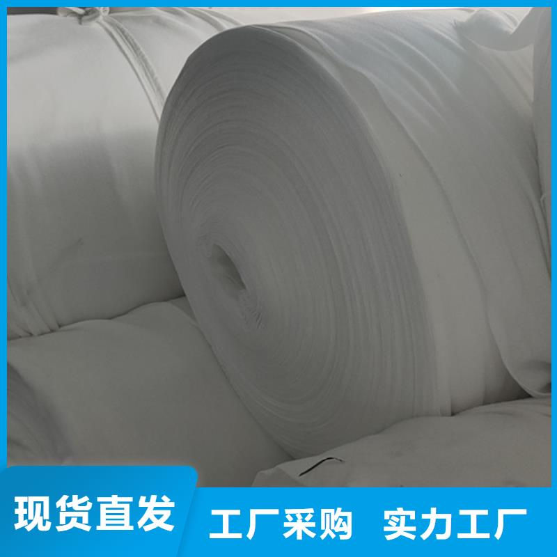 土工布【单向塑料土工格栅】一周内发货